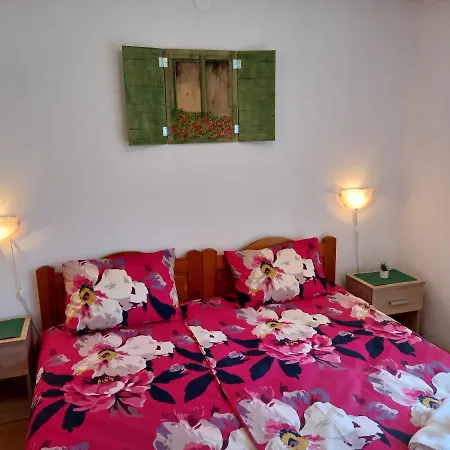 Summer Dream Apartment
