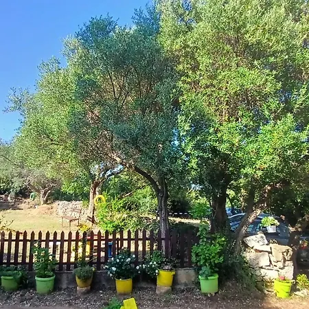 Summer Dream Apartment Rovinj